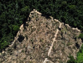 Área desmatada em meio à floresta amazônica no município de Uruará, Pará - Foto: Bruno Kelly/Reuters