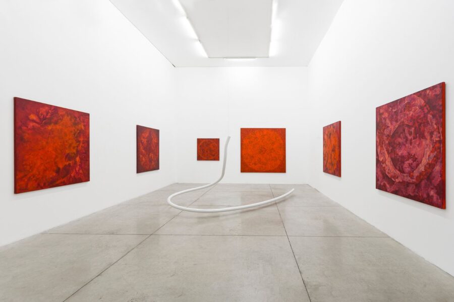 Foto: Flavio Freire/Galeria Nara Roesler