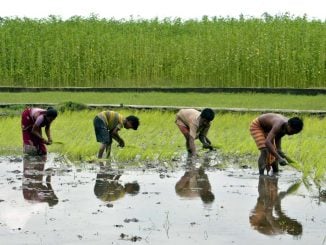 Rupak De Chowdhuri/Reuters