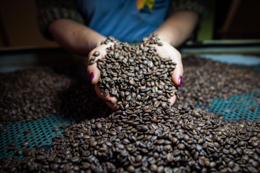 grãos de café