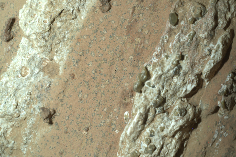 O rover Perseverance da NASA descobriu "manchas de leopardo" em uma rocha avermelhada apelidada de "Cheyava Falls" na Cratera Jezero de Marte em julho de 2024.