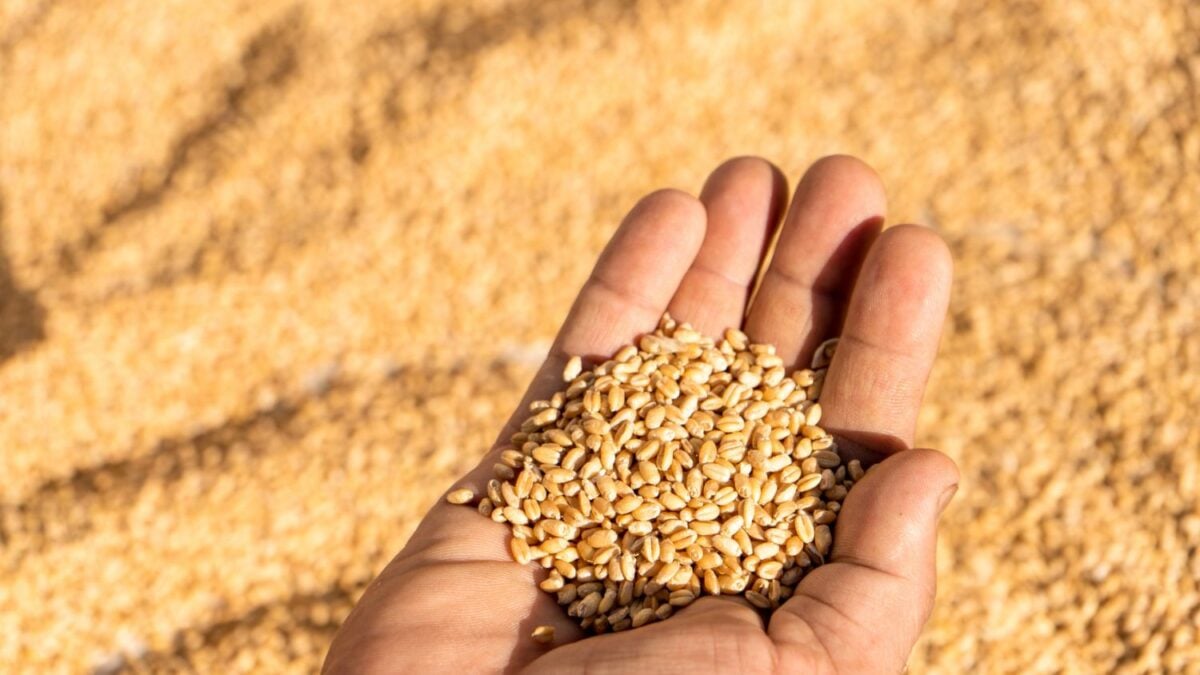 IPCA de Setembro: Pressão Alimentar e Energia