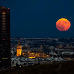 Foto de CRISTINA QUICLER/AFP via Getty Images