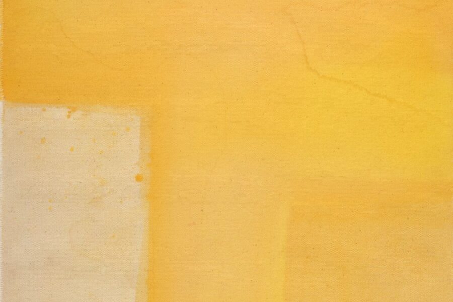 Cortesia Galeria Nara Roesler