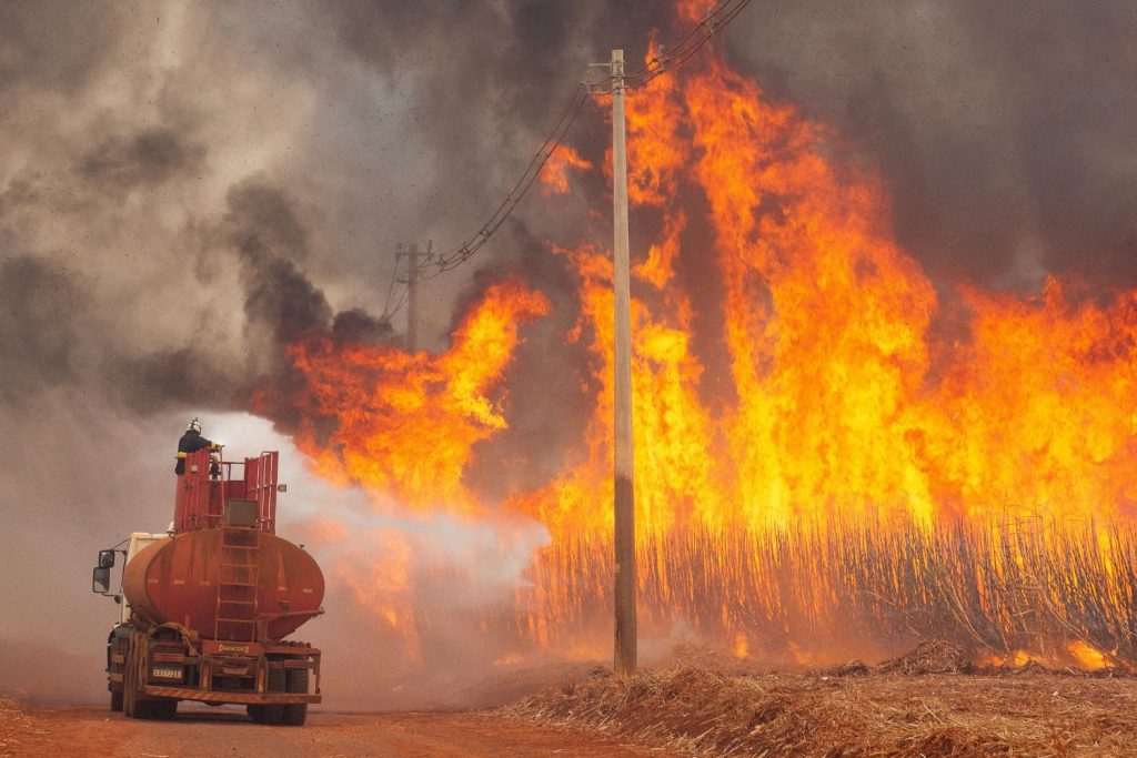 Açúcar cai em Nova York após incêndios nos canaviais de São Paulo