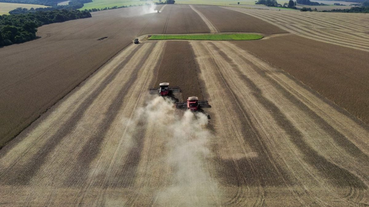 Família Louis Dreyfus Vende Empresa de Agro na Rússia por Preço Abaixo do Pretendido