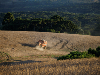 Colheita de soja em Ponta Grossa, Paraná. Reuters