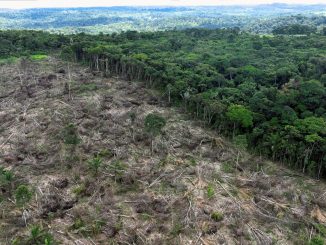 Imagem de drone de desmatamento na Amazônia