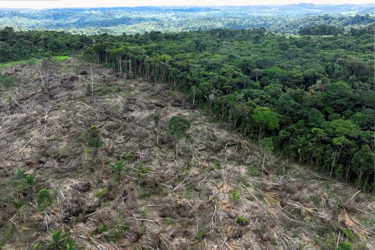 Imagem de drone de desmatamento na Amazônia