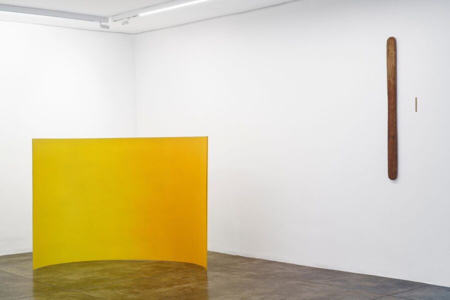 Flávio Freire/Cortesia da Galeria Nara Roesler, 2024