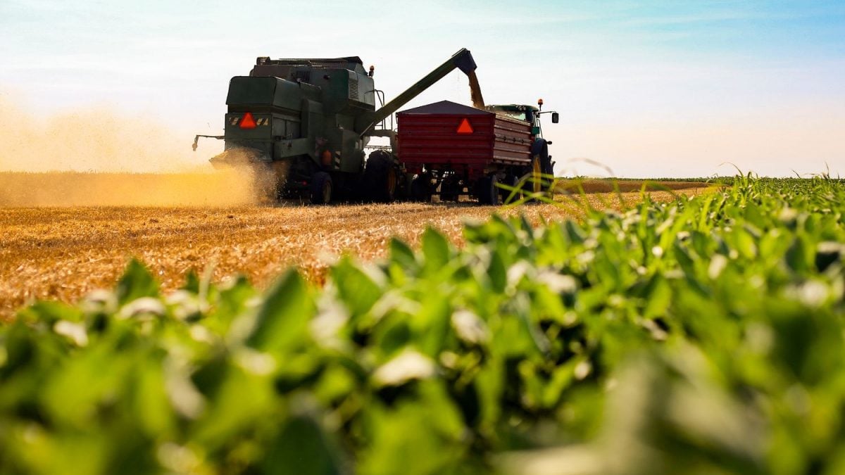 Desaceleração nos Preços dos Alimentos e Alta do PIB Agro em 2025