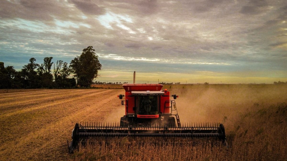 Agricultores da Argentina Pedem Cortes de Impostos