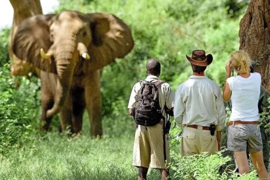 Wilderness Travel