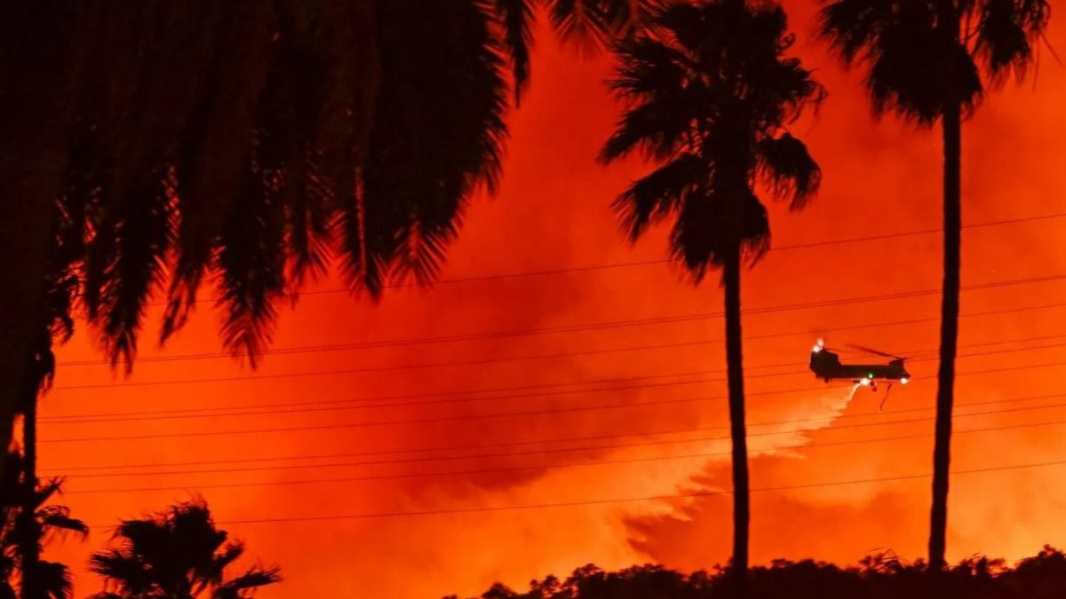 Enquanto Incêndios Avançam, Governador da Califórnia e Produtor de Frutas Levam a Culpa