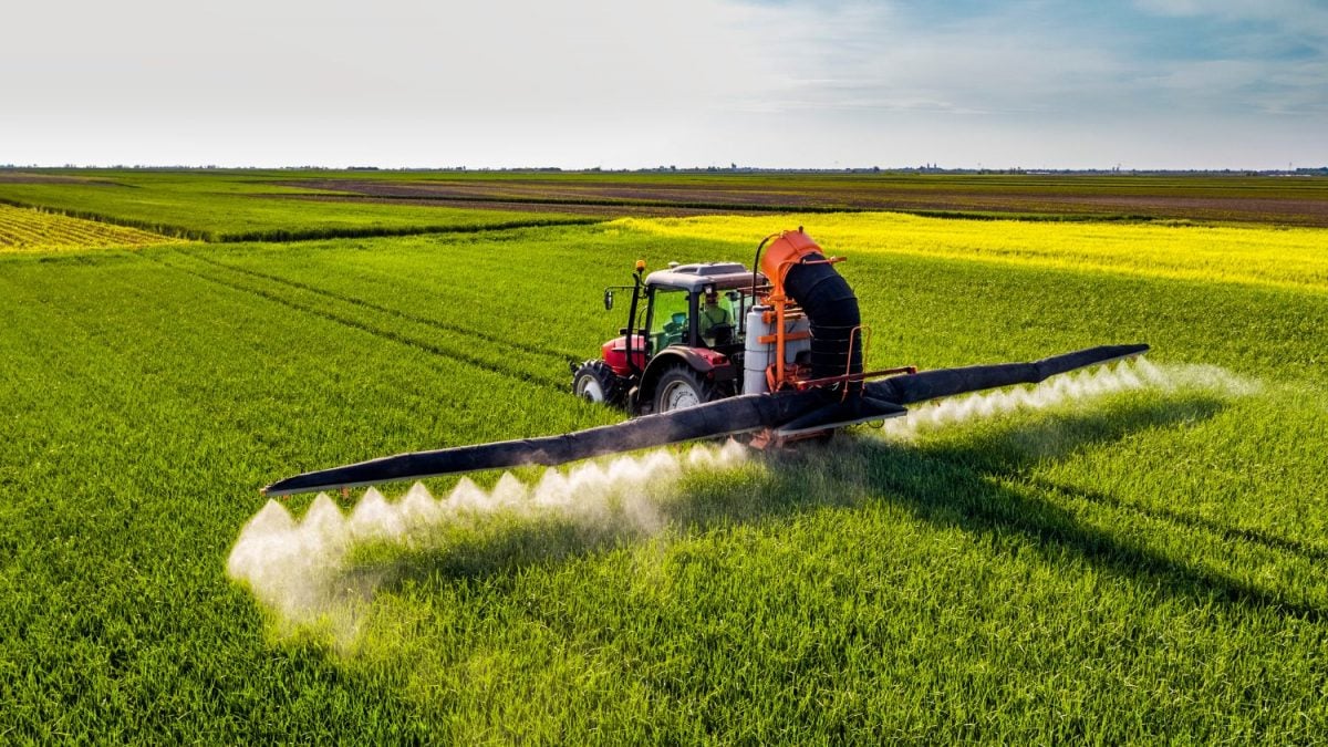 Basf Capta R$ 800 Milhões Visando Operação Opea Agro Insumos