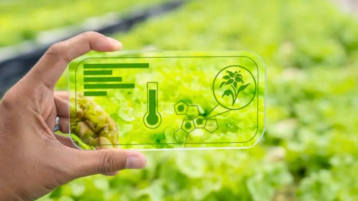 Do Solo ao Satélite: Por que a IoT no Agro deve crescer para US$ 18,1 bi até 2026