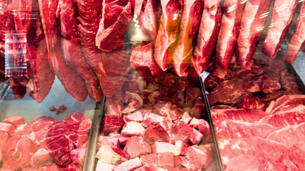 Brasil Abre Mercado Para Carne Bovina No Suriname