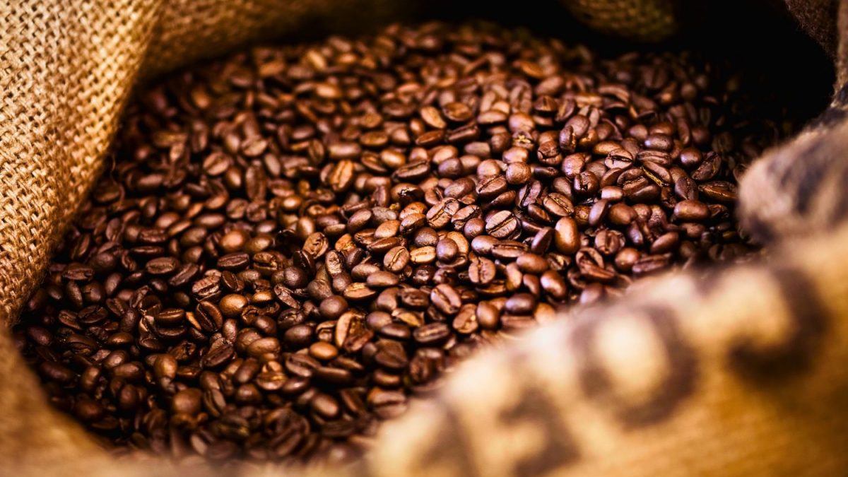 Exportações de Café do Vietnã Caem 41% em Janeiro