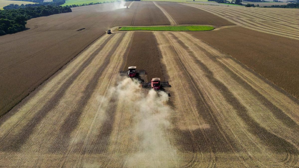 Colheita de Soja em Mato Grosso Atinge 82,30% da Área Cultivada