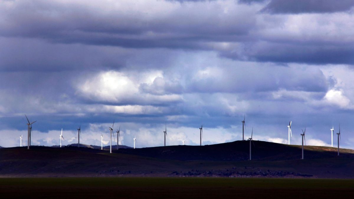 COP30: Brasil Quer Diversidade Como Critério para Investimento Sustentável