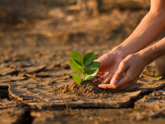 Foto ilustrativa de uma pessoa plantando em meio a um cenário de seca