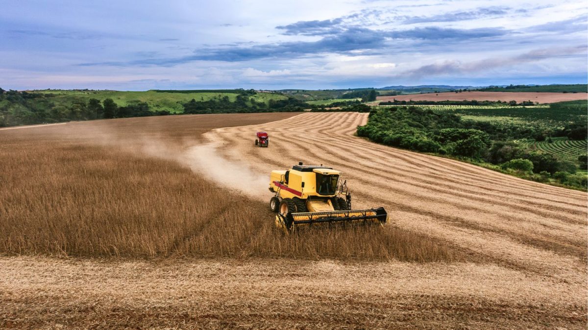 Paraná Colhe 81% da Área de Soja, Diz Deral