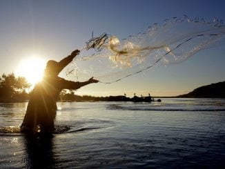 aquicultura