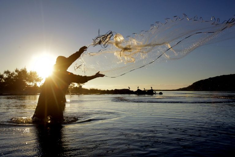 aquicultura