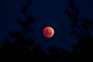 Imagem de uma "Lua de Sangue", momento do eclipse lunar total