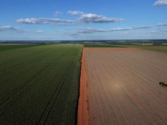 Colheita de soja no Paraguai