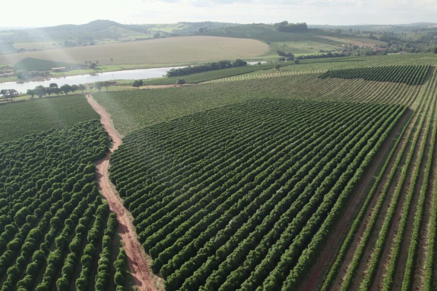 café na fazenda