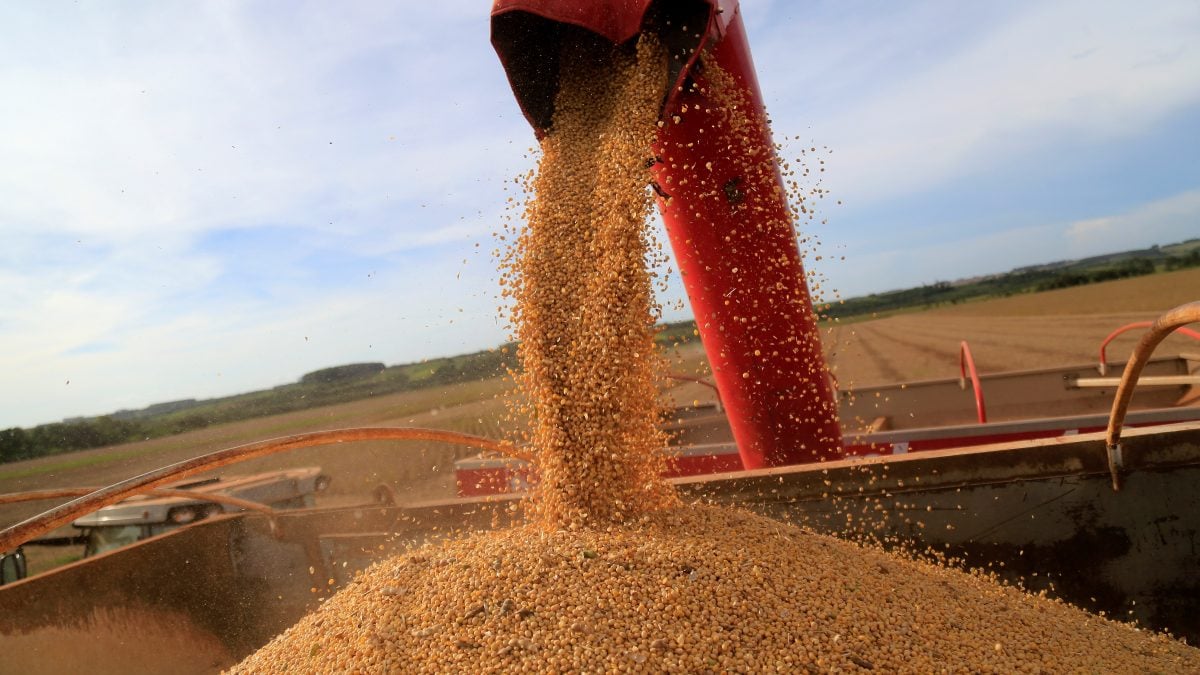 IGP-DI Volta a Subir em Abril com Alta de 0,30%, Mas Fica Abaixo do Esperado