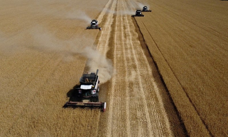 Calor Atinge Safra de Trigo da China e País Recorre Ao Cereal Canadense e Australiano