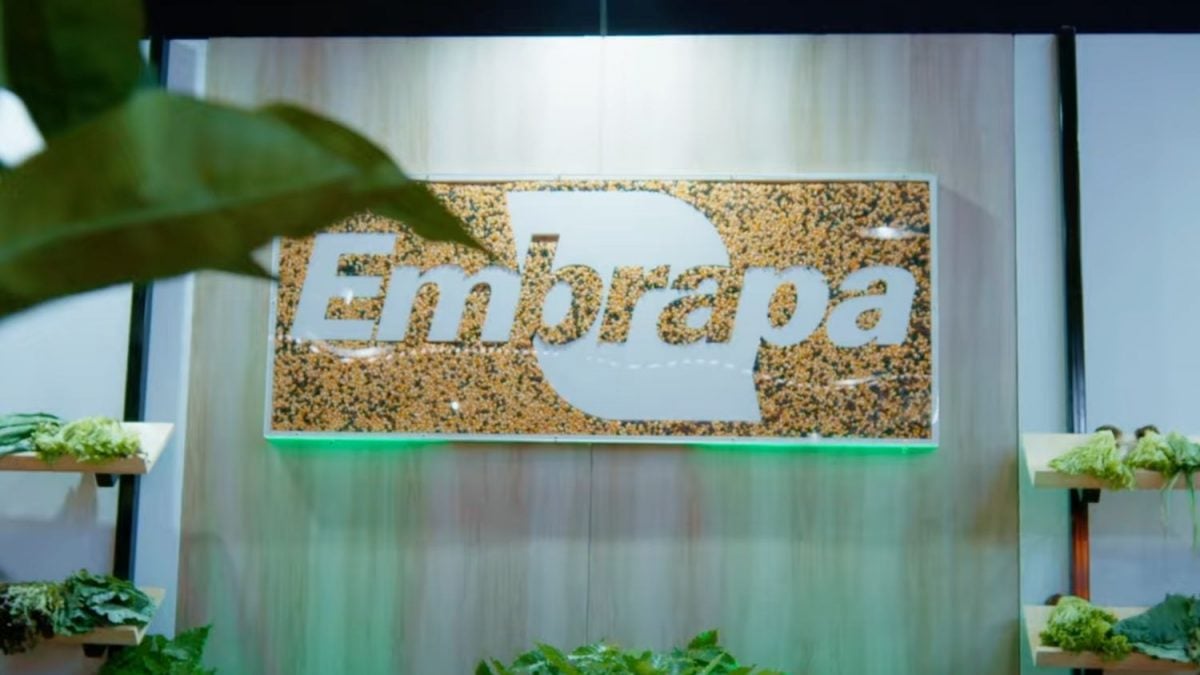 Embrapa Gera Lucro Social de R$ 107,24 Bilhões em 2024