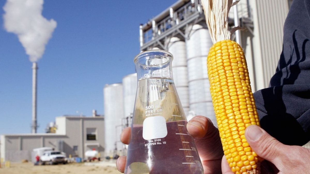 Eco-energy Ampliará em 50% Negócios de Etanol nos EUA