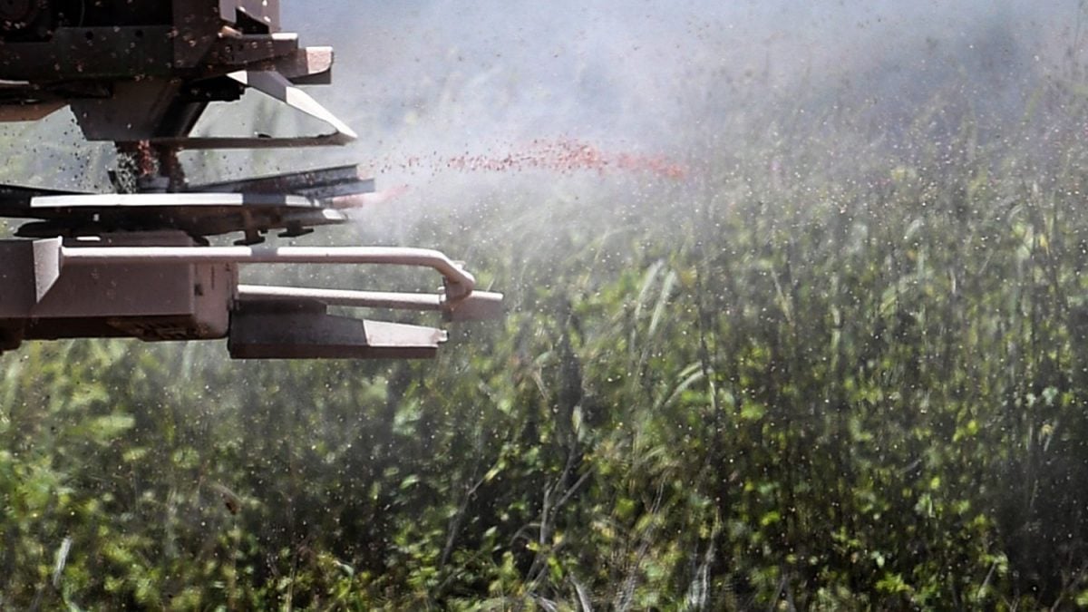 Mercado de Fertilizantes Especiais Faturou R$ 26,9 Bilhões em 2024