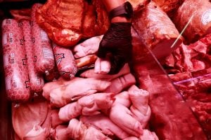 carne suína