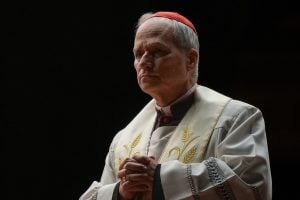 novo papa robert prevost