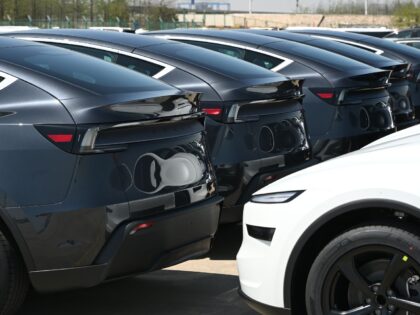 carros da tesla