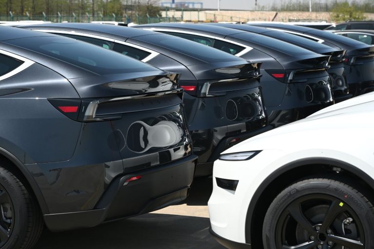 carros da tesla