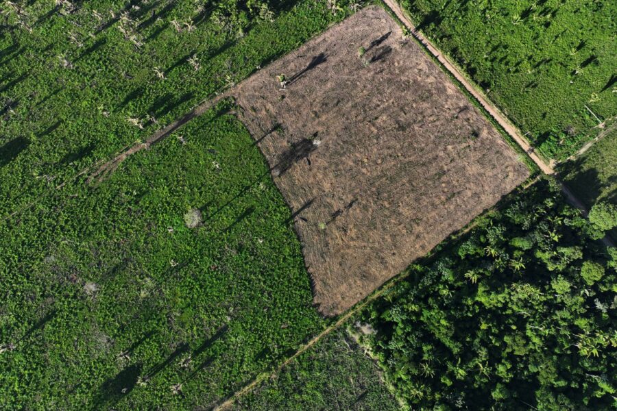 Área desmatada na Amazônia