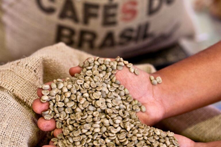 Exportação de Café Verde do Brasil Despenca 18% com Sobretaxa dos EUA