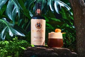 Como Dois Irmãos Levaram o Café Vulcânico de El Salvador para as Garrafas de Licor