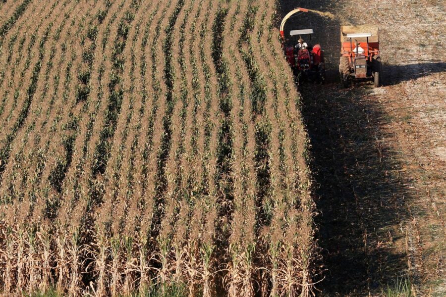 Recuperação Judicial É o Que Mais Afeta o Crédito Rural no Agro