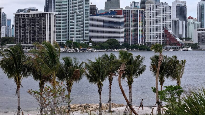 Frio Extremo nos EUA: Miami Pode Ter Mínimas Recordes em Mais de 15 Anos