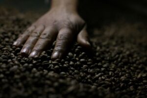 Indústria de Café Solúvel Pede Isenção de Tarifa de 50% Mantida Pelos EUA