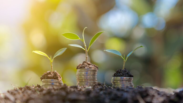 Eco Invest Mobiliza R$ 53 Bi em Investimentos Sustentáveis