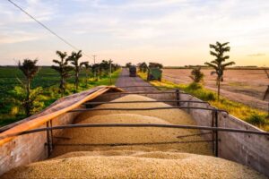 USDA Eleva Projeção da Safra Brasileira de Soja e Pressiona Preços em Chicago