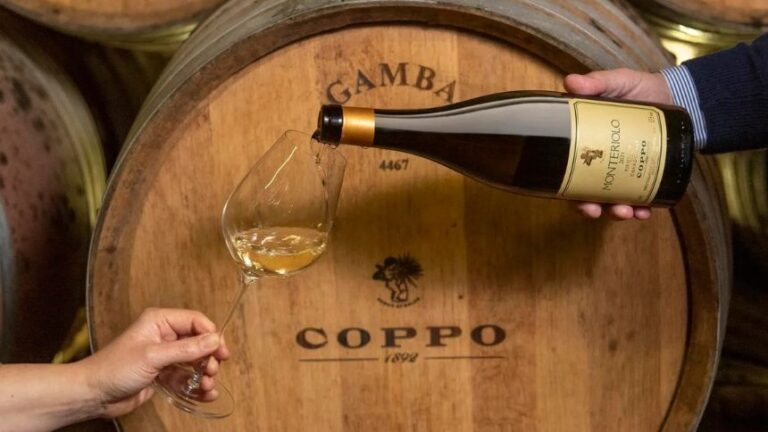 Monteriolo, um dos vinhos brancos mais famosos da Coppo