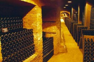 Vinícola Coppo: Por dentro das Catedrais Subterrâneas da UNESCO